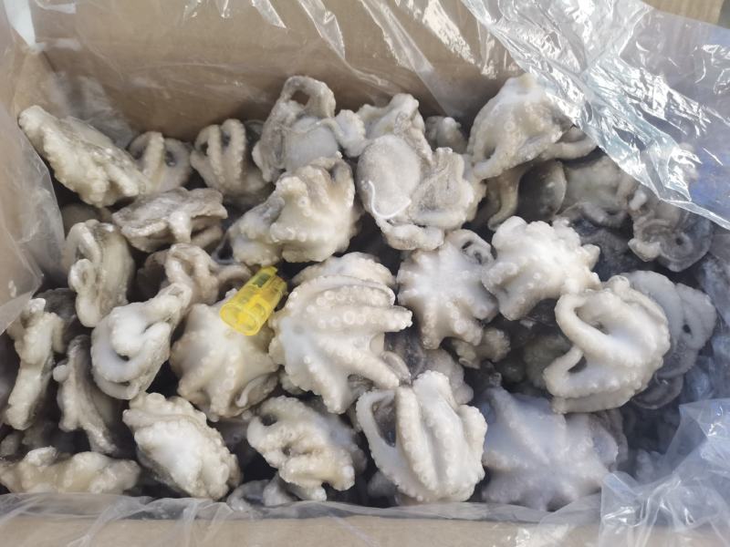 八爪鱼盐磨八爪鱼章鱼须