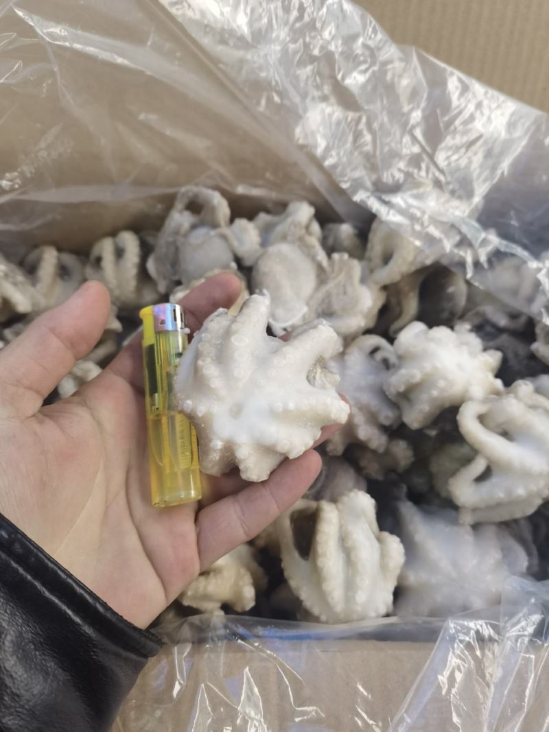 八爪鱼盐磨八爪鱼章鱼须