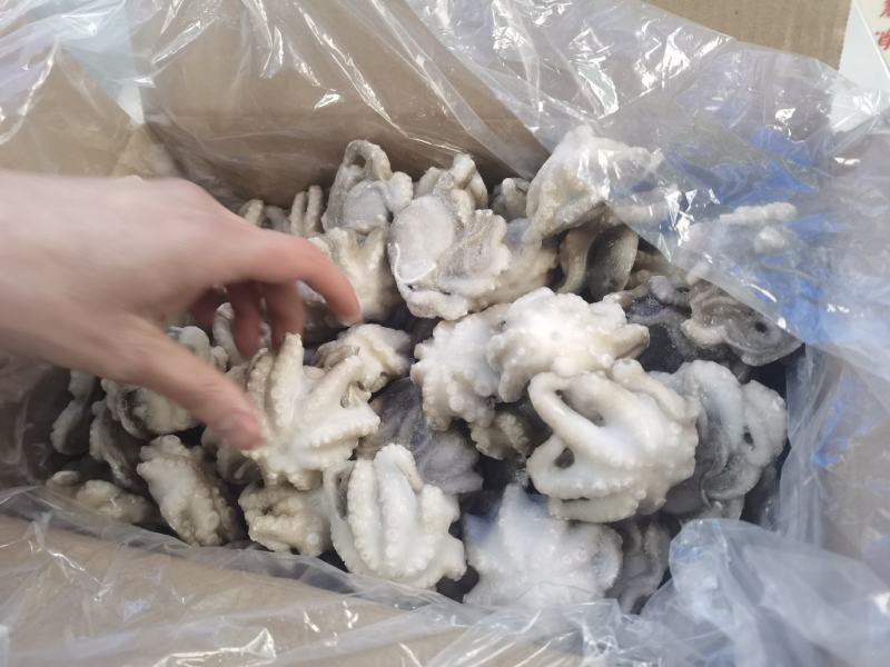 八爪鱼盐磨八爪鱼章鱼须