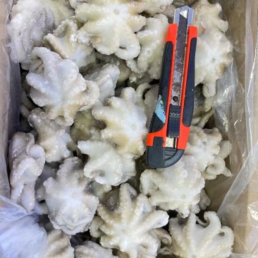 八爪鱼盐磨八爪鱼章鱼须