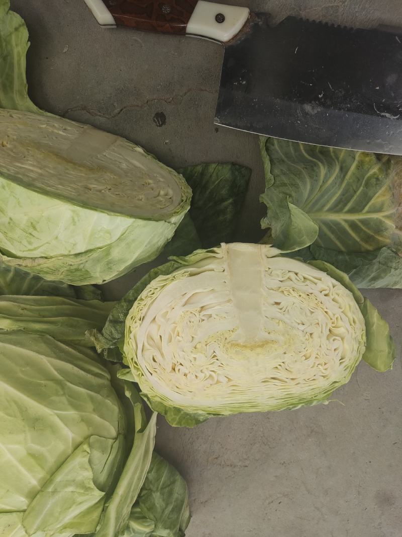 大头菜