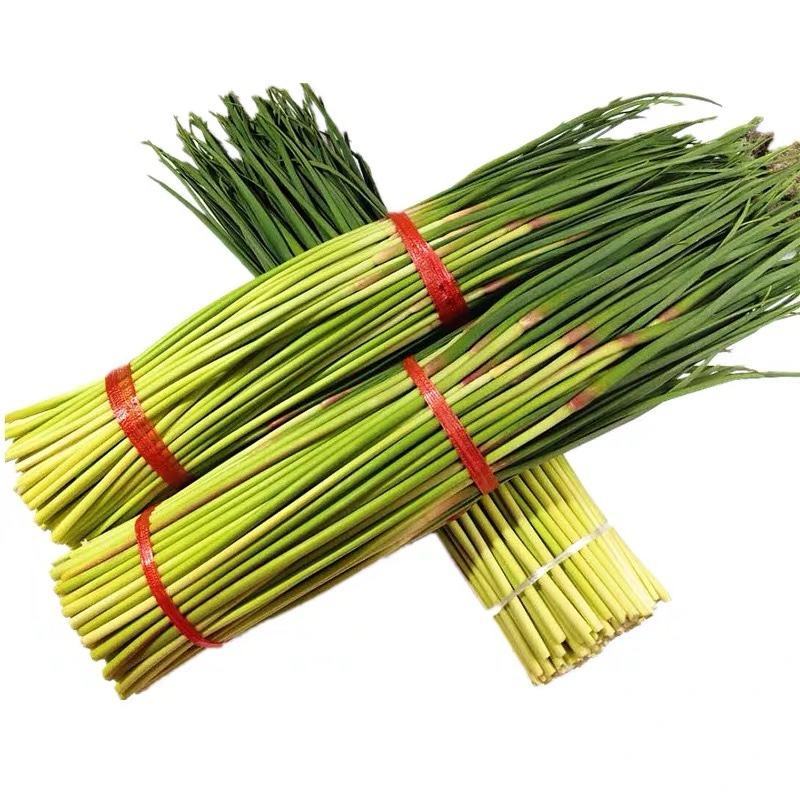 [白帽蒜苔]蒜苔各种规格对接商超市场电商欢迎来电