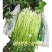 [白帽蒜苔]蒜苔各种规格对接商超市场电商欢迎来电