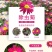 除虫菊种子，驱蚊草驱虫菊花种籽子多年生混色花种子四季播易