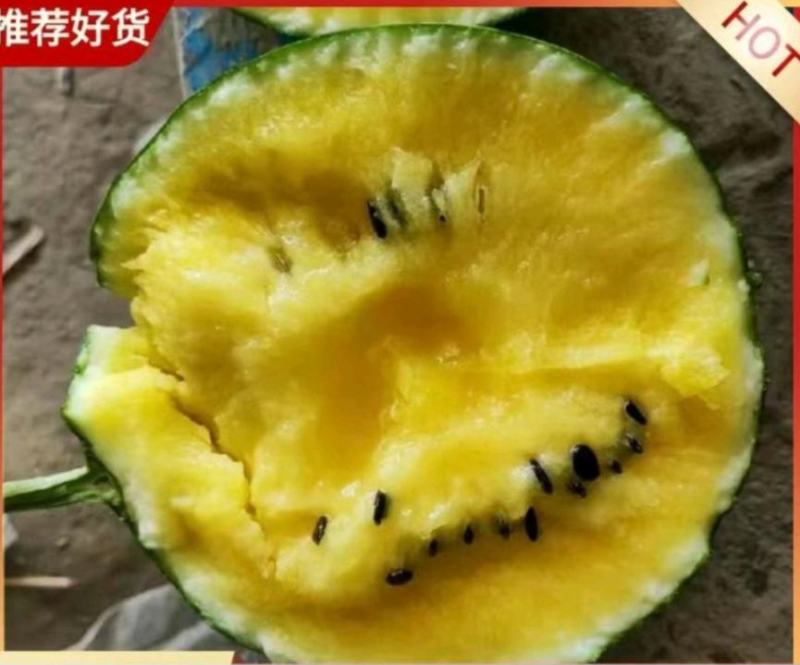 东台特小凤西瓜优质小西瓜保质保量诚信经营代发全国