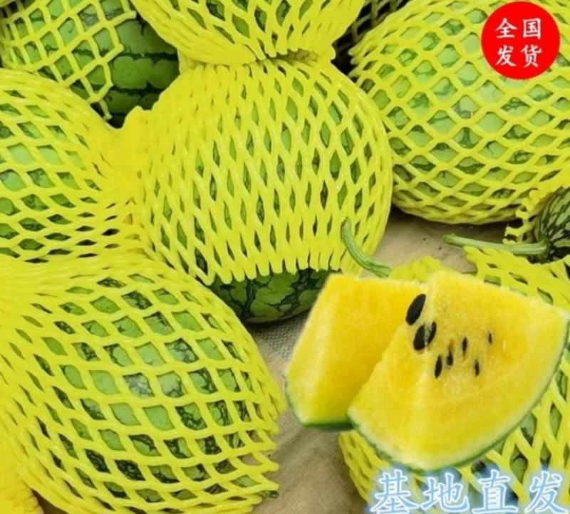 东台特小凤西瓜优质小西瓜保质保量诚信经营代发全国