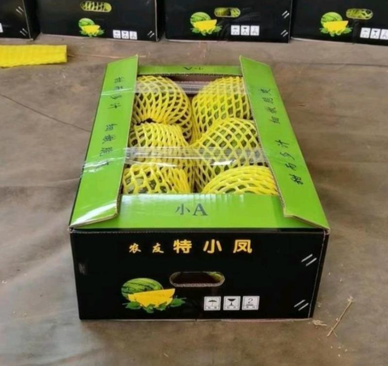 东台特小凤西瓜优质小西瓜保质保量诚信经营代发全国