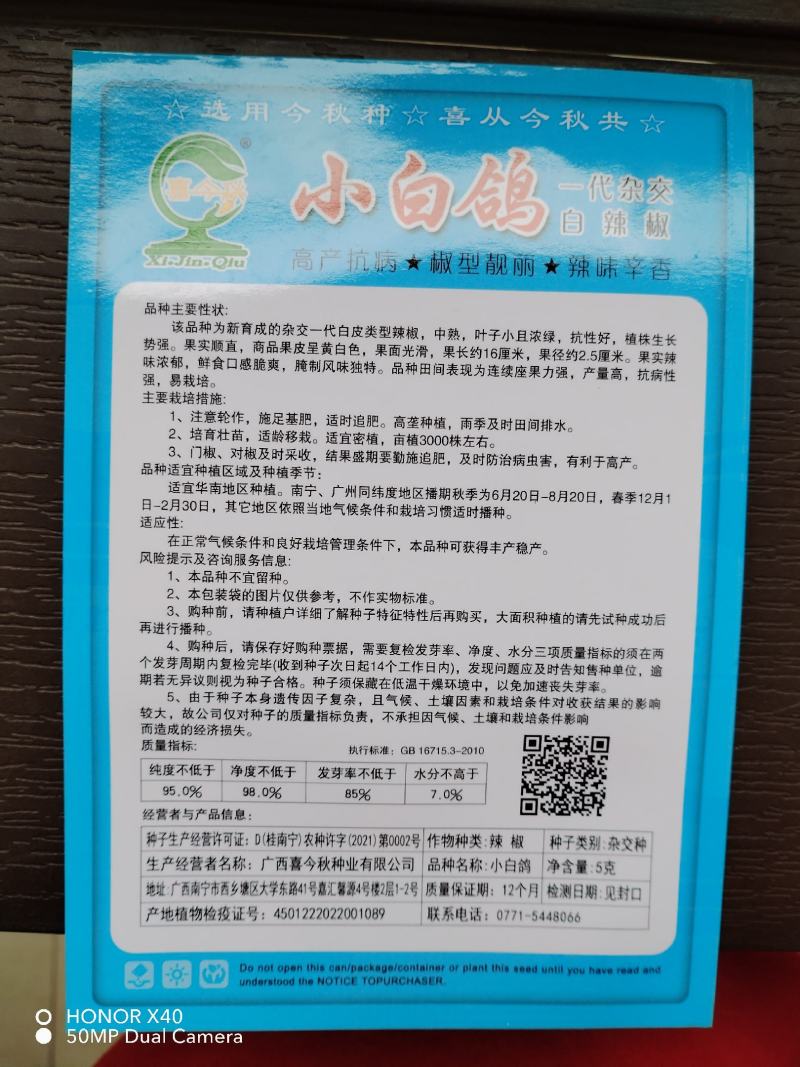 小白鸽白皮辣椒早熟，硬度好，抗病能力强，高产
