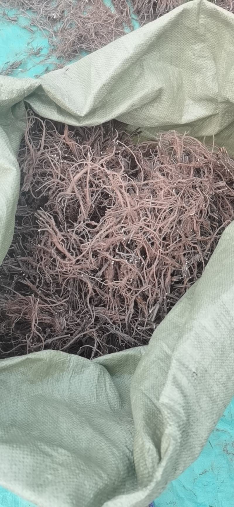 柴胡根长期大量提供，求实力厂家接货，高标准