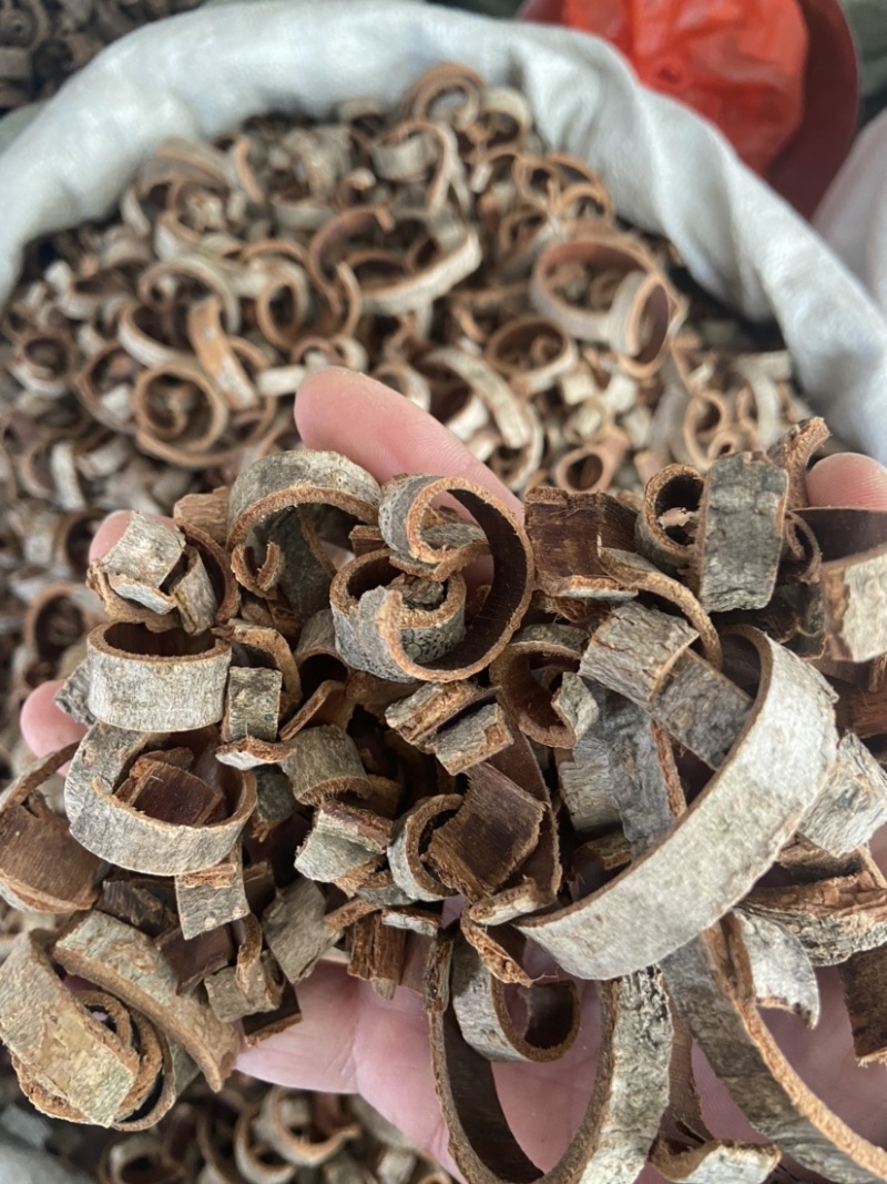 正品厚朴中药材正宗新货厚朴厚朴后朴无硫无任何添加