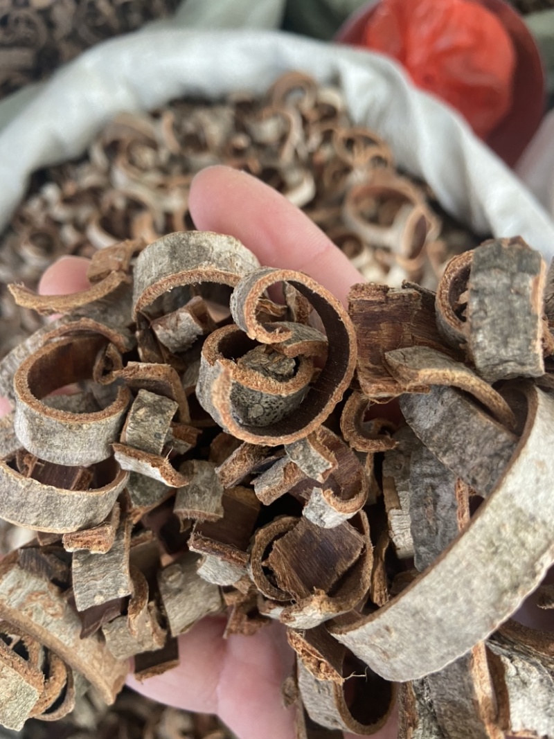 正品厚朴中药材正宗新货厚朴厚朴后朴无硫无任何添加