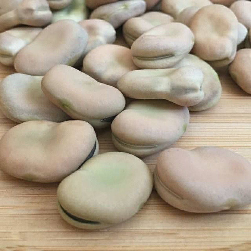 蚕豆大量有货，代收代购，量大从优，产地直发