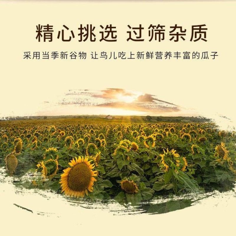 油葵大量有货，代收代购，量大从优，欢迎咨询下单