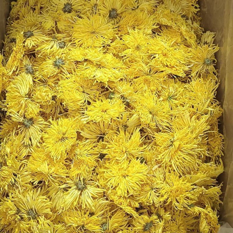 【牛商推荐】菊花茶修水县金丝皇菊茶资质齐茶叶可迎视频看货