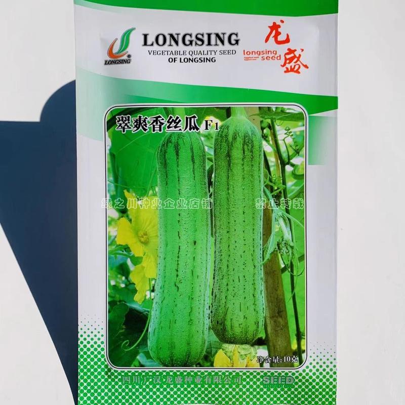 龙盛翠爽香丝瓜种子杂交一代新品种早熟耐热耐湿肉丝瓜种籽