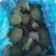 【荐】精品西兰花，万亩基地，电商平台，整车供应，代发全国