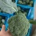 【荐】精品西兰花，万亩基地，电商平台，整车供应，代发全国