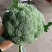 【荐】精品西兰花，万亩基地，电商平台，整车供应，代发全国