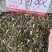 刘寄奴中药材正品新货南刘寄奴金寄奴奇蒿南寄奴