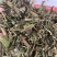 刘寄奴中药材正品新货南刘寄奴金寄奴奇蒿南寄奴