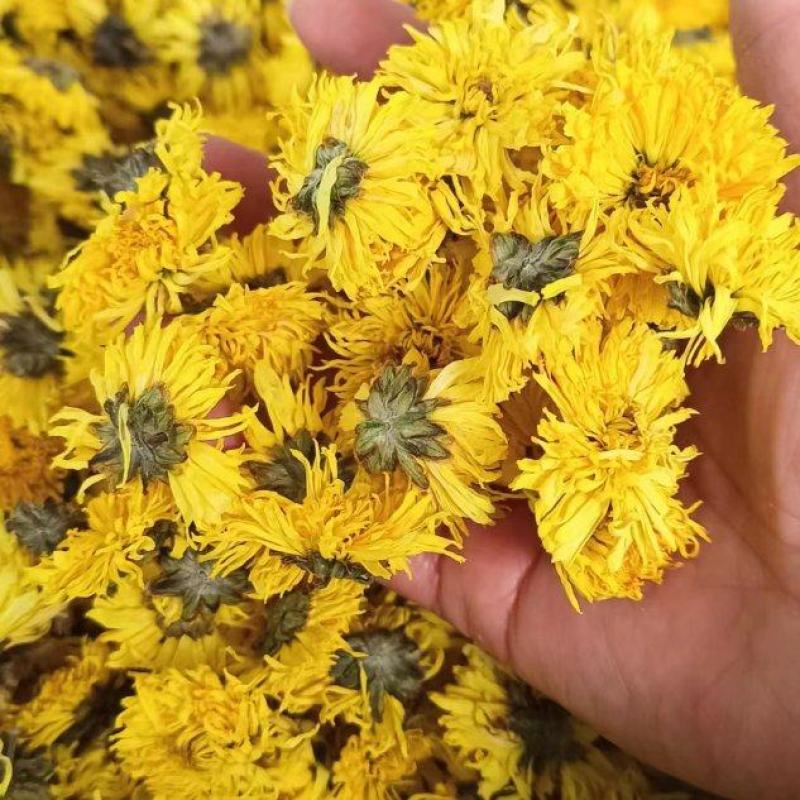 【牛商优选】修水菊花茶金丝皇菊茶大量上市资质齐全量大从优