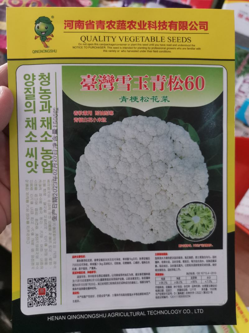 免盖台湾郑研青梗白面小米粒有机松花菜种子花球松大