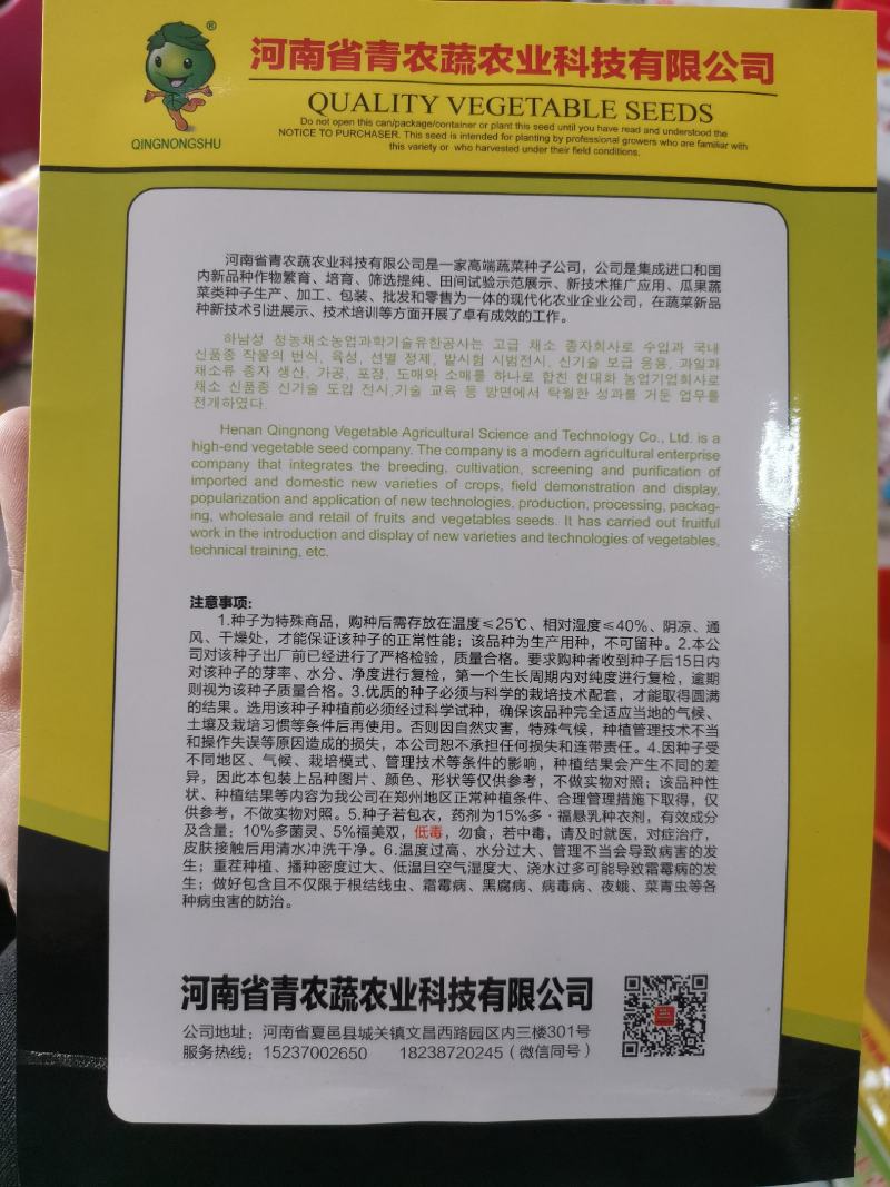 免盖台湾郑研青梗白面小米粒有机松花菜种子花球松大