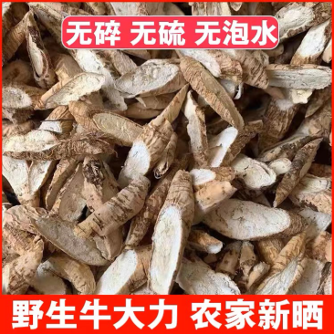 野生牛大力大量供应中规格齐全品质保证诚信经营