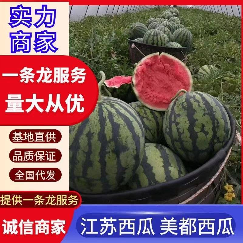 (精品)美都高糖度口感酥一手货源整车大量供货