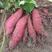 红薯专用肥膨果增产生根壮苗提早上市增甜着色