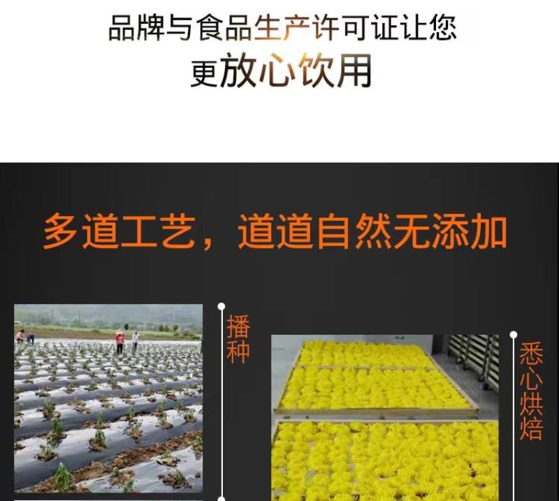 【牛商推荐】菊花茶修水县金丝皇菊茶资质齐茶叶可迎视频看货