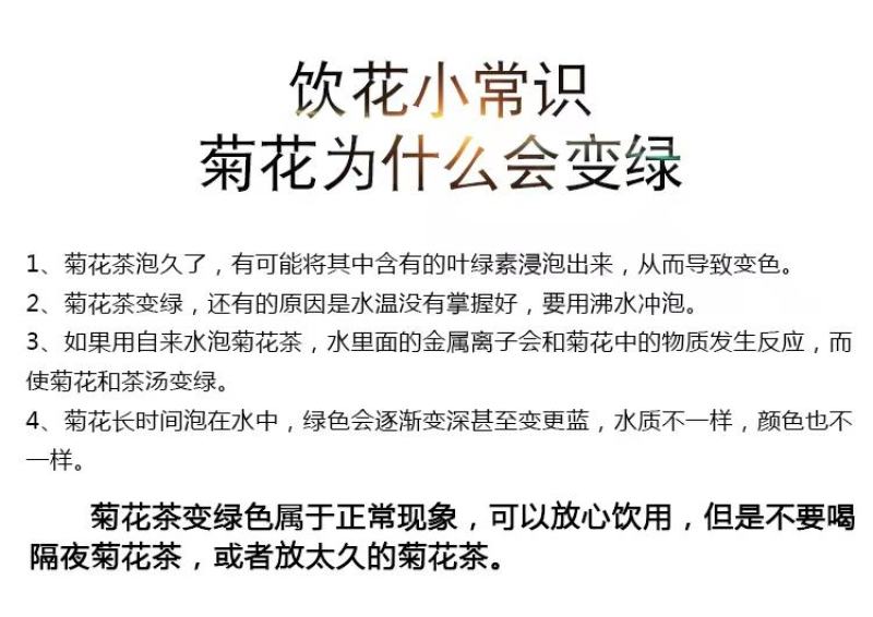 【牛商推荐】菊花茶修水县金丝皇菊茶资质齐茶叶可迎视频看货
