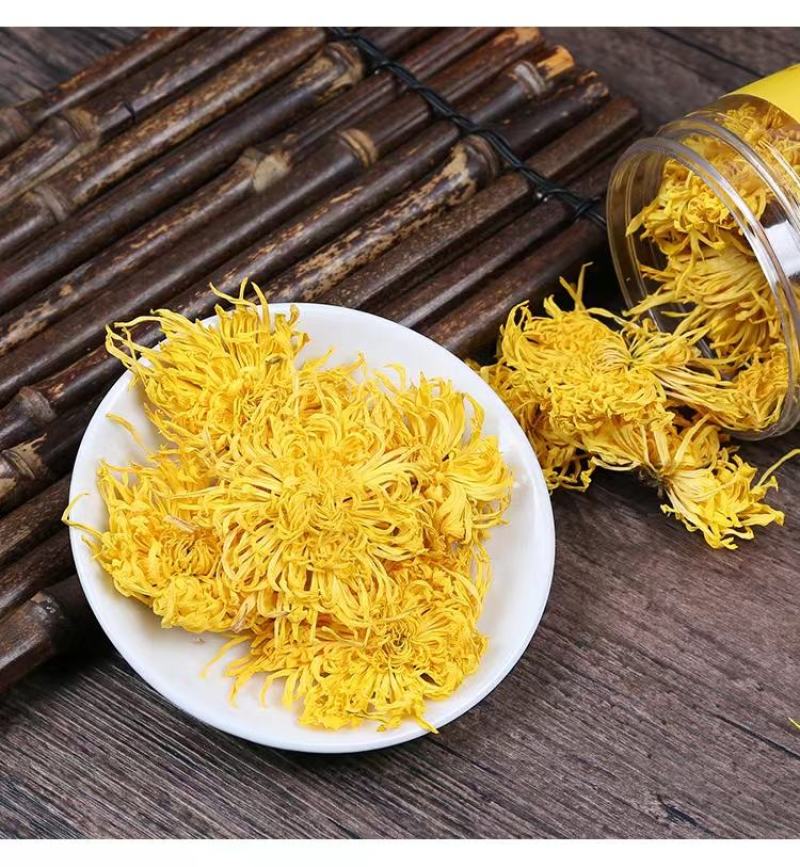 【原产地直发】大量出售优质金丝皇菊菊花苗成活率高提供指导