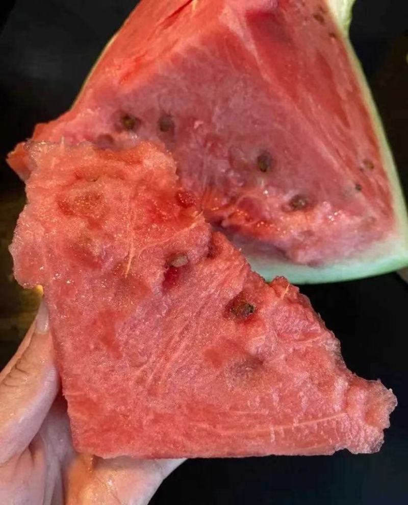 【协助装车】蒲城吊兰西瓜皮薄多汁可全国发货欢迎咨询