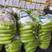 费县绿皮西葫芦现已大量上市，瓜条均匀，颜色绿