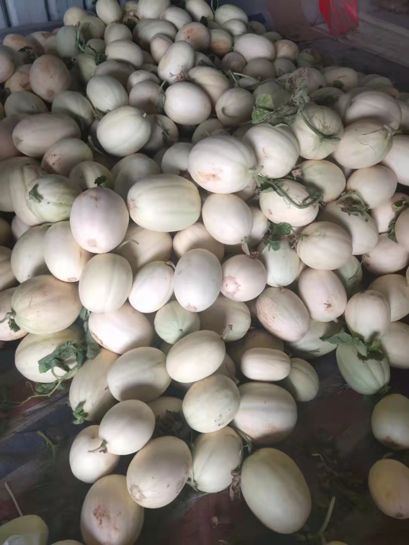 东方密
