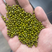 精品明绿豆大量供应，常年经营，质量好精品，无杂质