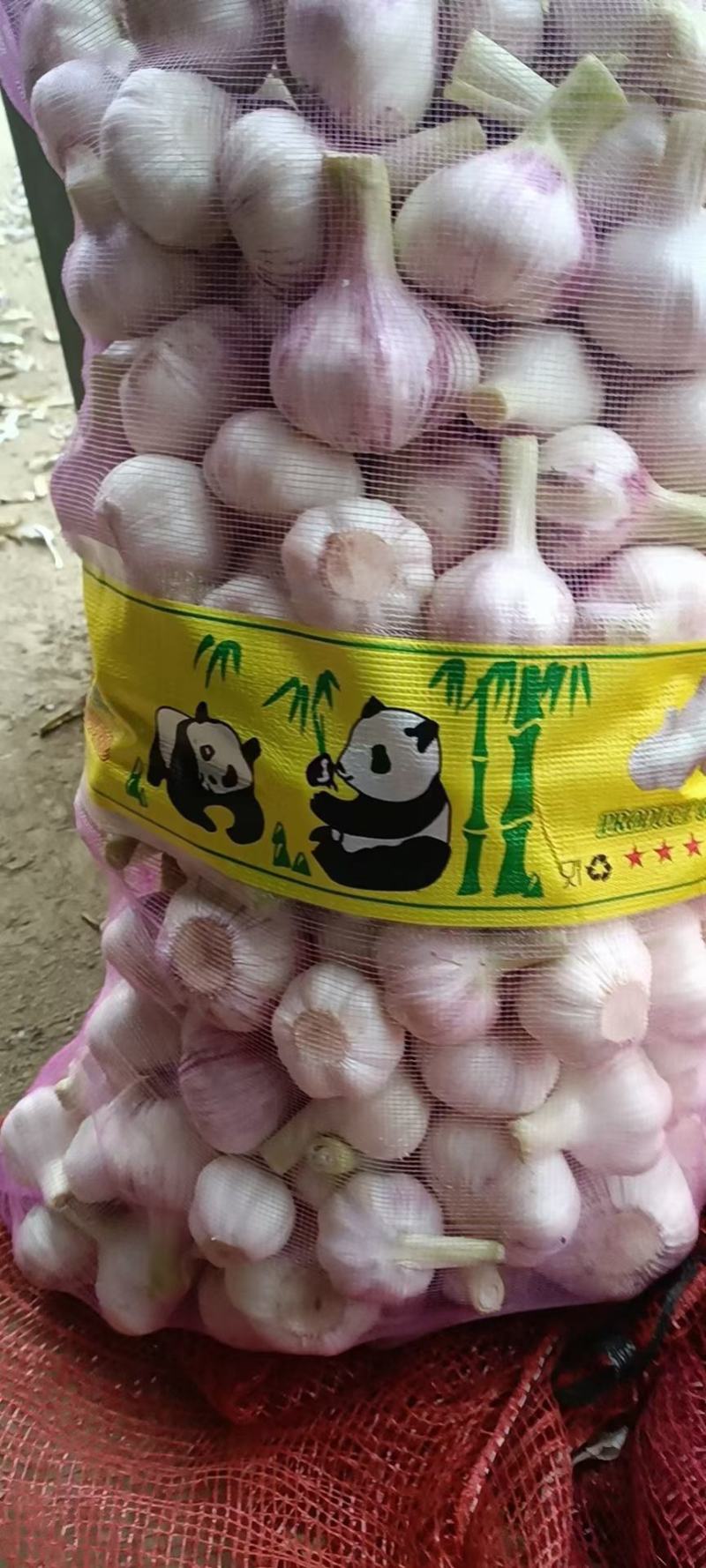 江苏徐州新蒜鲜蒜泥蒜大量上市产地直供代办代发全国