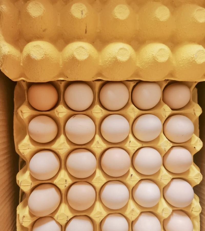 【精品】鸡蛋/土鸡蛋/黑凤鸡蛋/全国发货老板联系