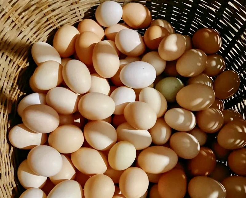 【精品】鸡蛋/土鸡蛋/黑凤鸡蛋/全国发货老板联系