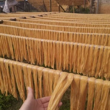 精品腐竹，黄豆腐竹，河源和平纯手工腐竹全国供货