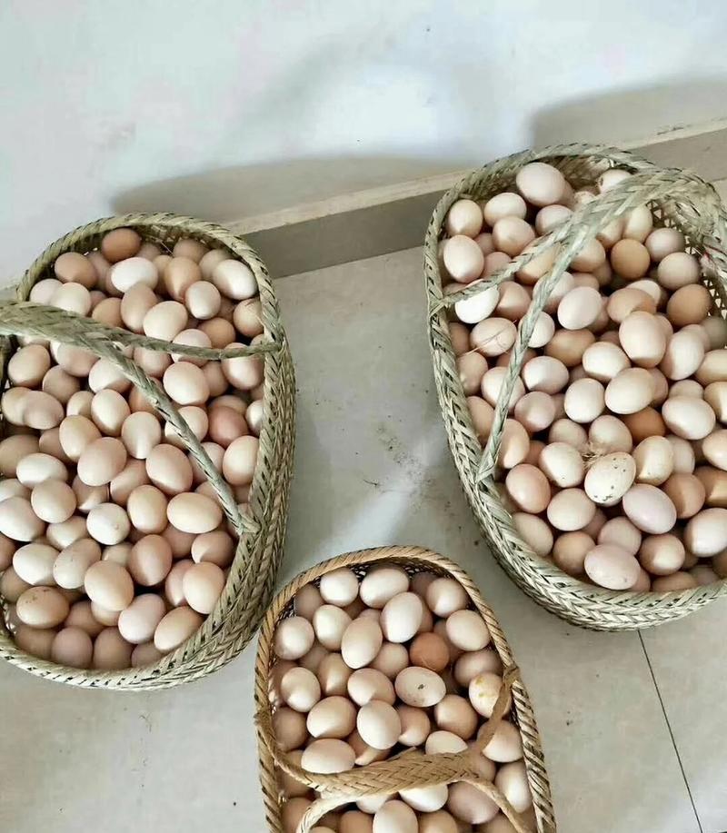 鸡蛋/土鸡蛋/黄色土鸡蛋/鲜鸡蛋全国发货需要联系