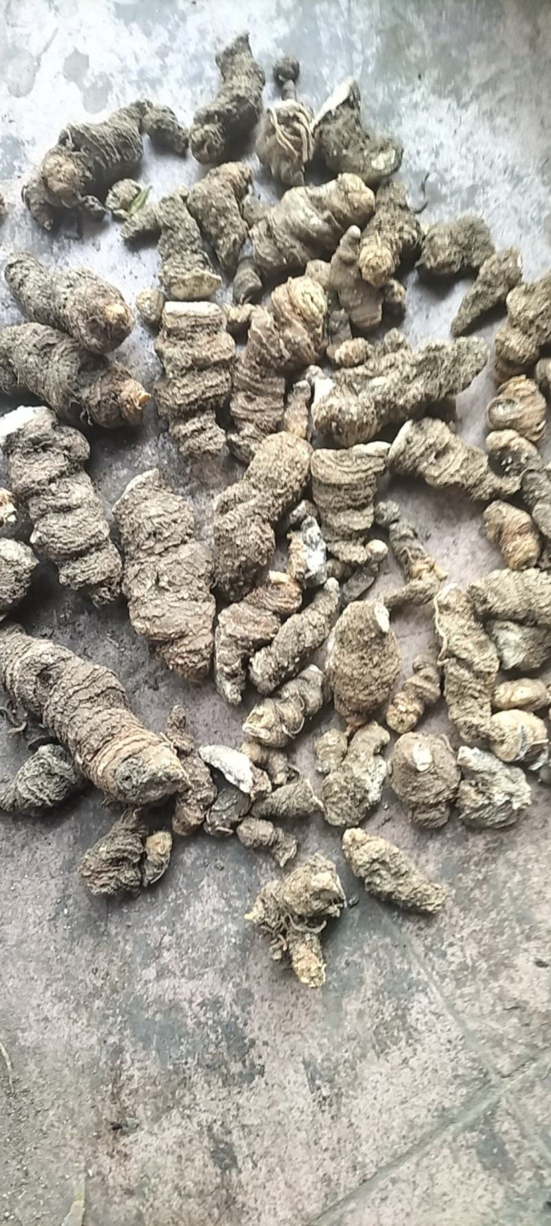 重楼无硫中药材欢迎联系
