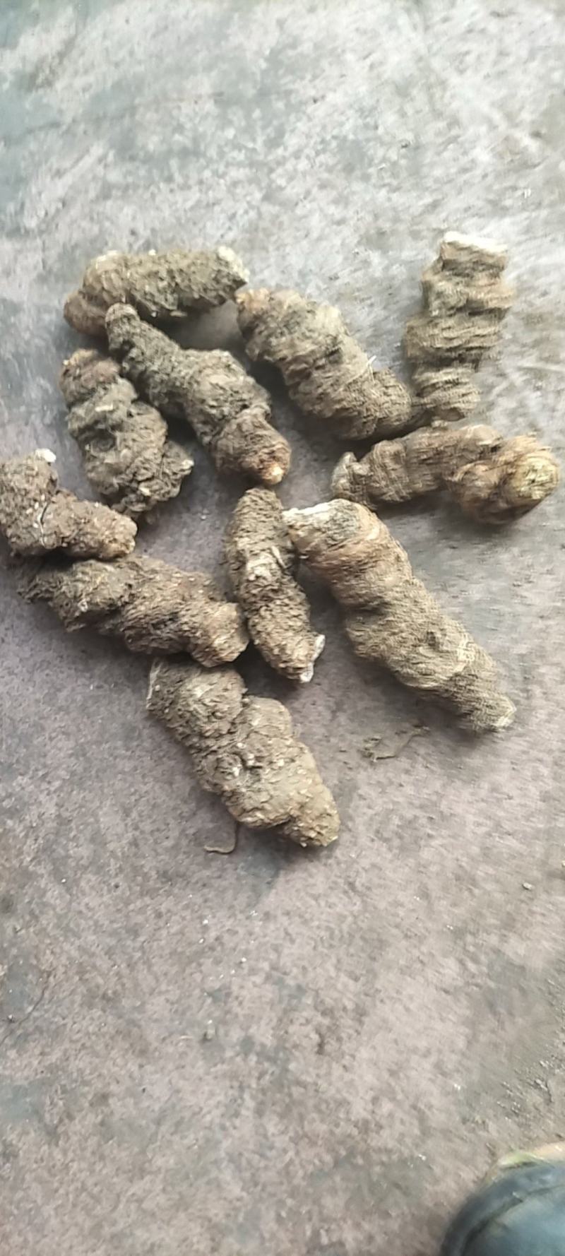 重楼无硫中药材欢迎联系