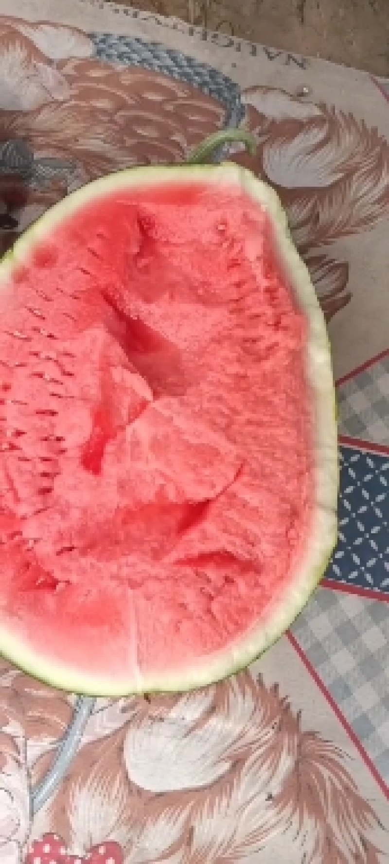 精品甜王西瓜产地直发品质保证诚信合作欢迎来电