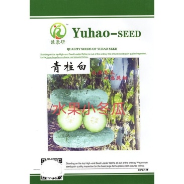 青柱白水果小冬瓜种子中熟口感好肉色绿5~6斤易座果