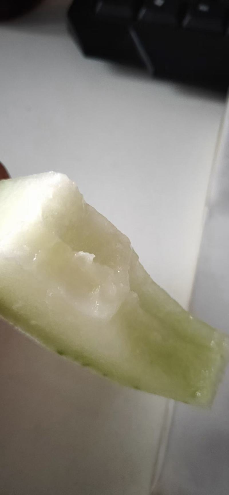 青柱白水果小冬瓜种子中熟口感好肉色绿5~6斤易座果