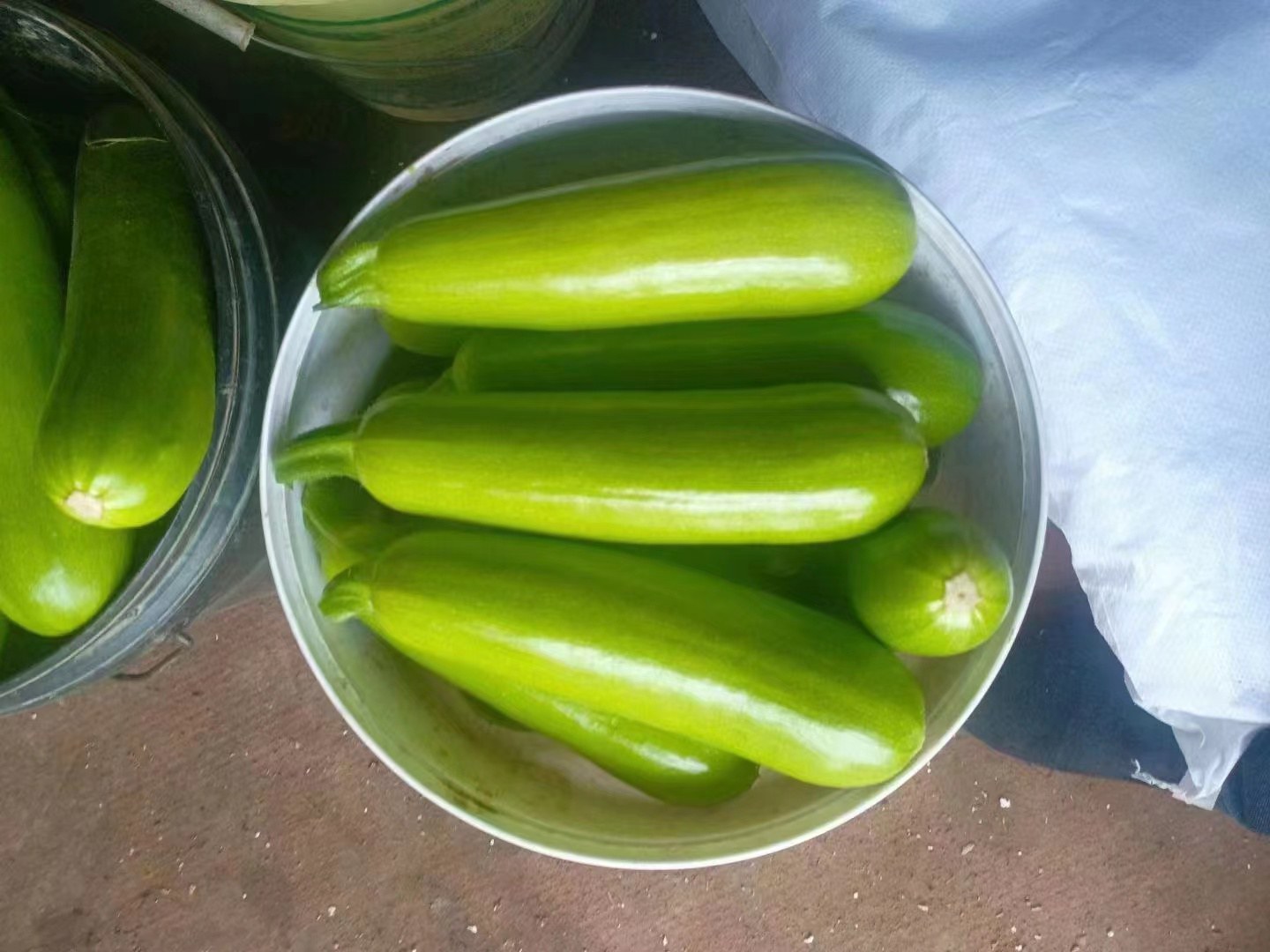 一个被横向切开的新鲜西葫芦,露出白色至淡黄色的果肉和中心分布的细小种子,果肉纹理清晰,周围摆放几片绿叶作为装饰,背景为厨房台面 切开的西葫芦内部结构图