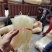 粉丝大量现货宝鸡豌豆粉丝一件50把成都库房现货