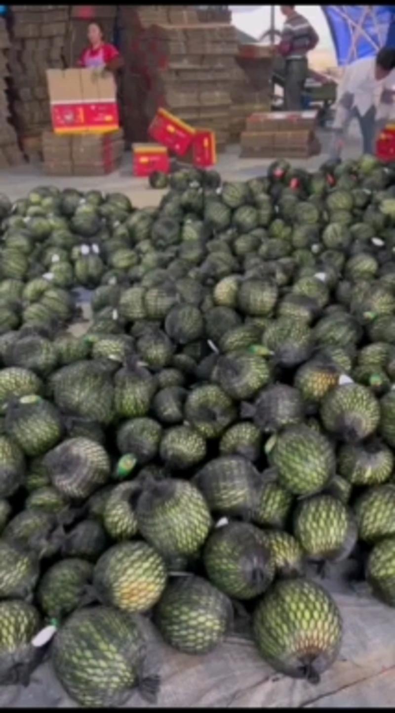 万亩山西西瓜精品美都西瓜全国代发支持视频看货保质保量